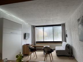 Studio spacieux 40m², pieds des pistes, wifi, équipements bébé, animaux admis, Laveissière - FR-1-787-58